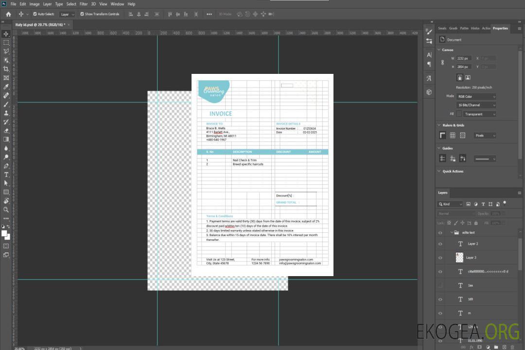Modèle de facture de toilettage pour animaux de compagnie template